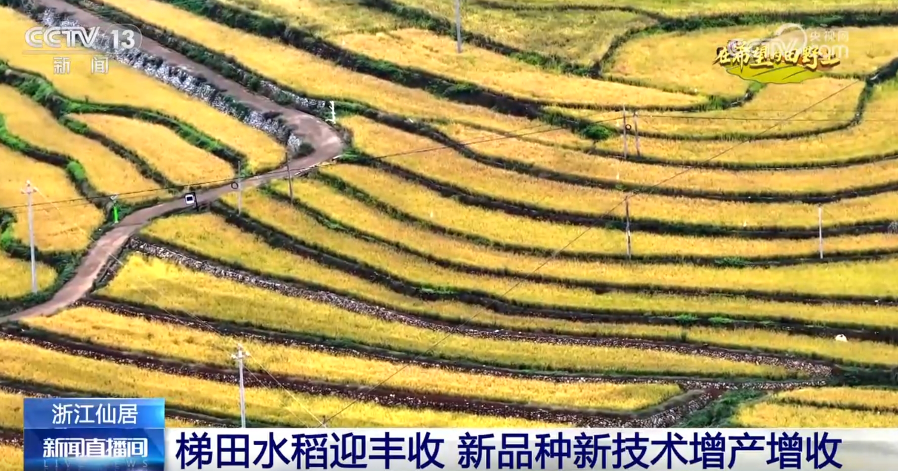 “丰”景画卷 农业高“智”量发展行稳致远long8唯一网站希望的田野上铺展多彩(图7)
